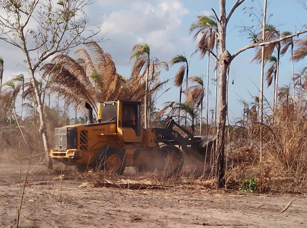 Incra deverá finalizar demarcação de quilombo no Maranhão em 9 meses, determina Justiça Federal