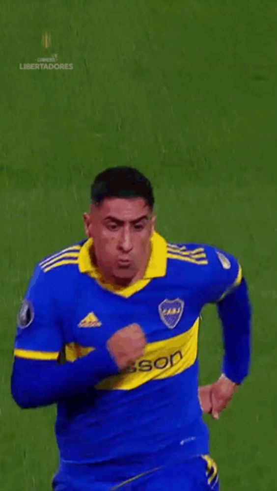 a soccer player wearing a blue and yellow jersey is running on a field .