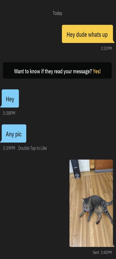 Grindr user asks for "any pic" so I send a Pic of my cat 