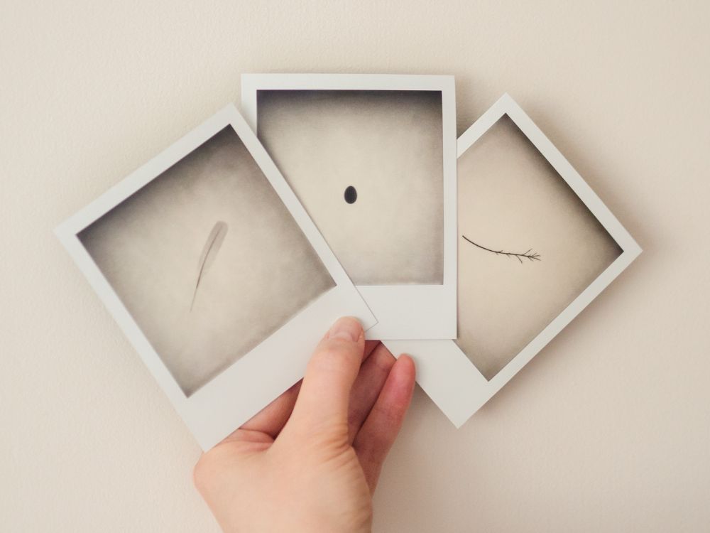 Set of three minimalist black and white Polaroids, held up in my hand against a blank wall. 

Each Polaroid shows a single object, apparently suspended in mid air, silhouetted against a lighter background. The first is a feather, the second is an egg, and the third is a small twig. The light background in each image has a slightly dappled texture, and fades gradually away into to a band of darker shadow at the top of the frame.