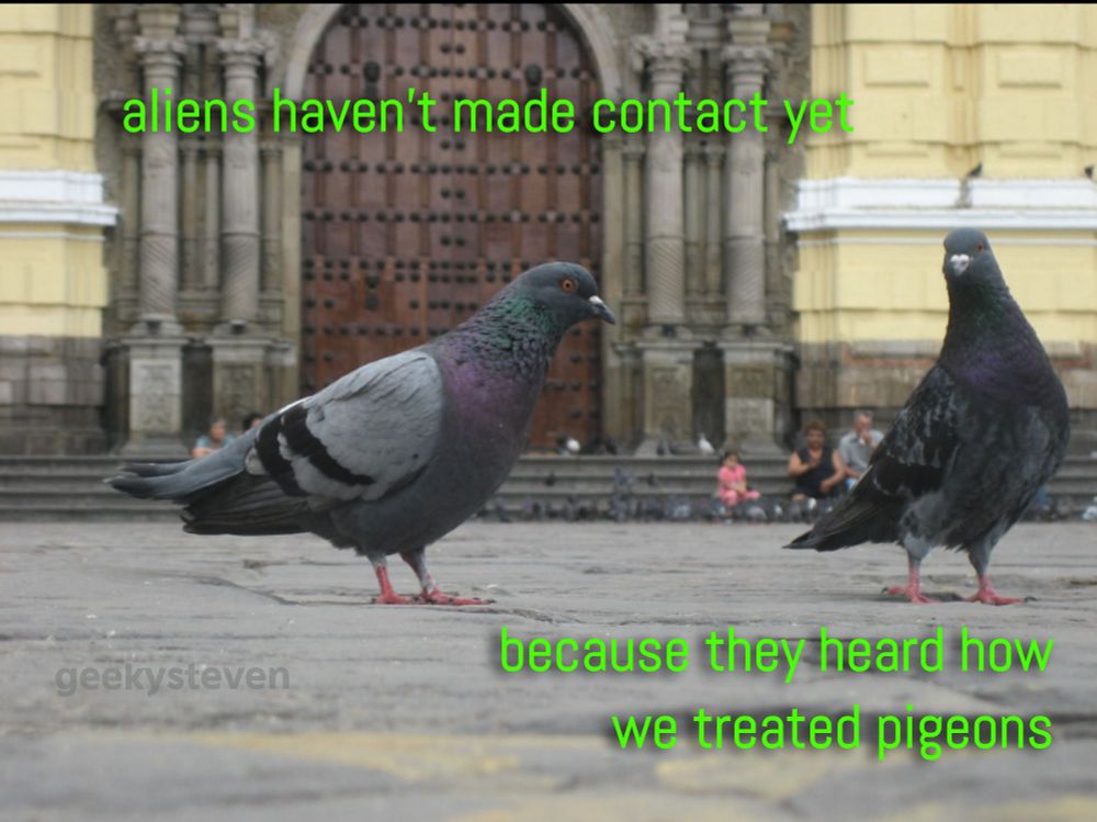 Photo of pigeons in front of a church with text "aliens haven't made contact yet because they heard how we treated pigeons”
