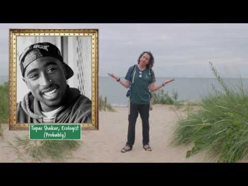 How Sand Dunes Change Into a Forest - Ecological Succession | Indiana Dunes National Park