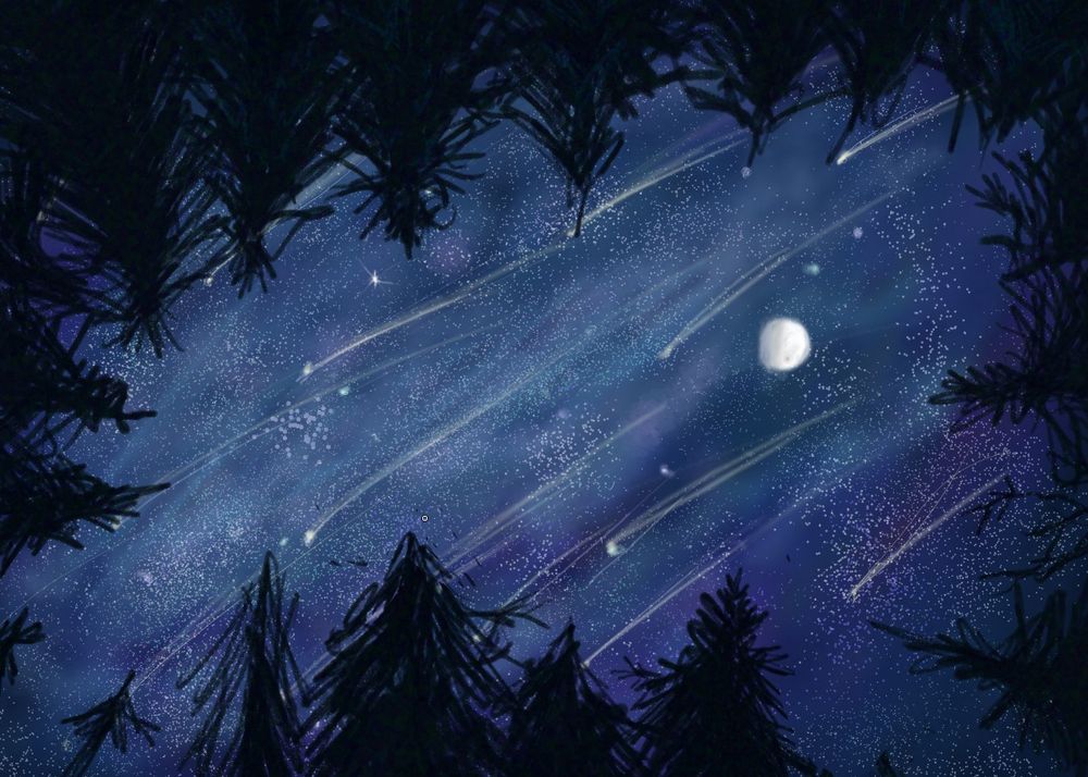 an upward view of the night sky, supposedly it's a shooting star night, ngl pretty badly made in my opinion.