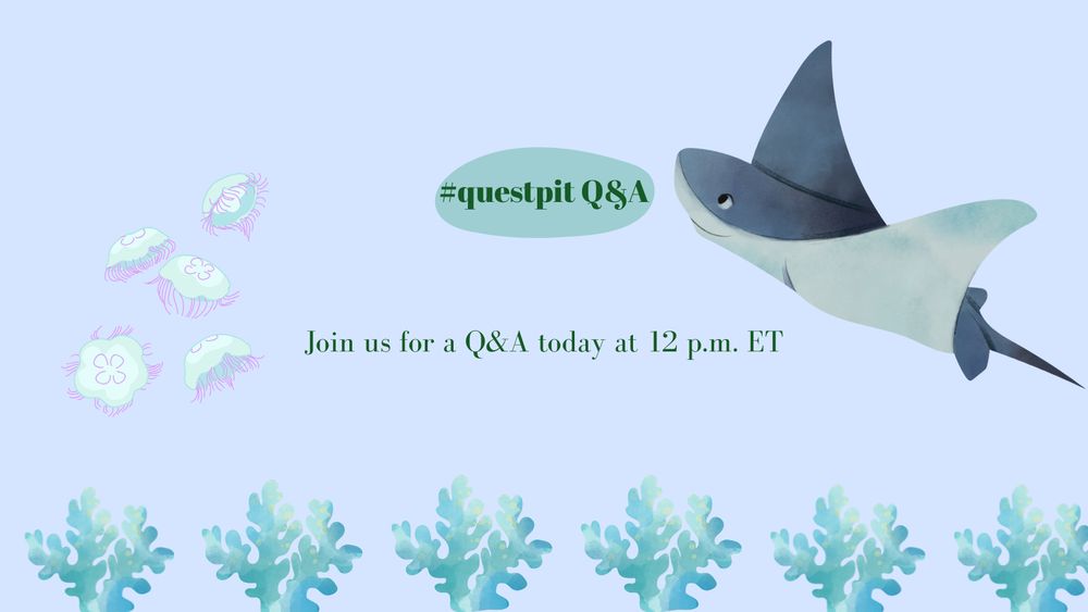 a light blue background with jellyfish, a stingray, and seaweed decorating it and text that reads “#questpit Q&A Join us for a Q&A today at 12 p.m. ET”
