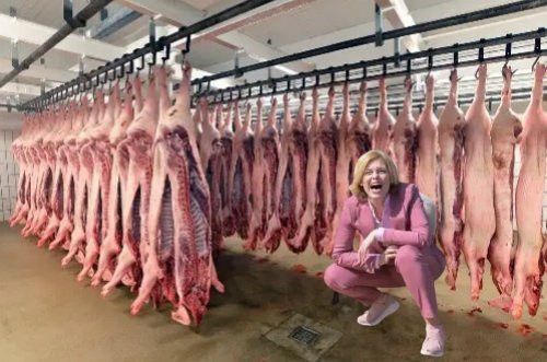 Julia Klöckner in rosa Anzug zwischen vielen aufgehängten Schweinehälften. KI-Foto!!!