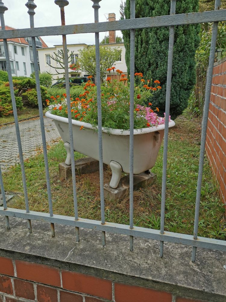 Eine freistehende Badewanne in einem Vorgarten, bepflanzt mit Blumen
