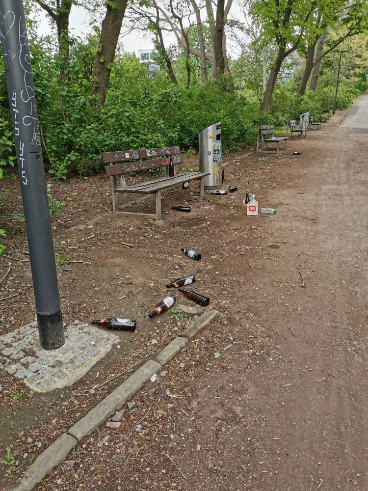 Um eine Bank im Park liegen Bierflaschen herum