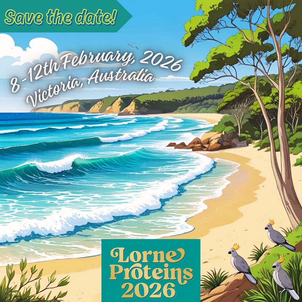 A cartoon image of a beach with a banner that reads "save the date!" 8th-12th February, 2026, Victoria, Australia. Lorne Proteins 2026.