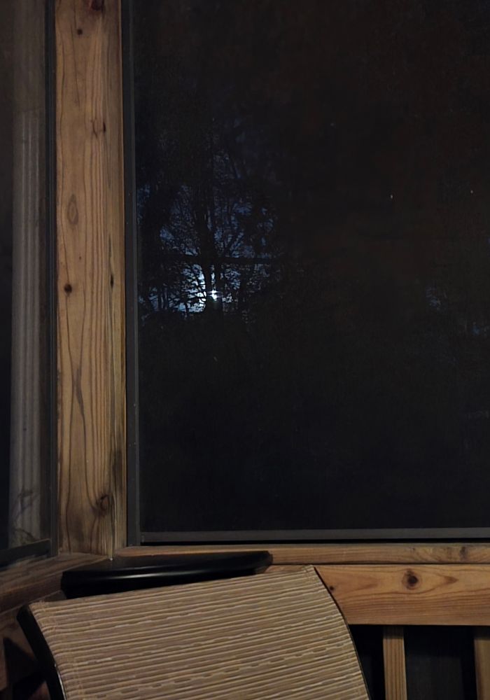 View from our screened porch of the full moon just beginning its rise behind the trees.