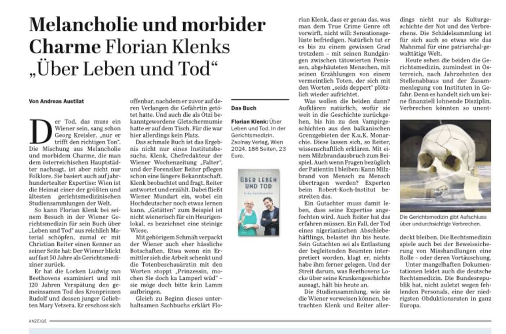 Screenshot einer Rezension im Tagesspiegel