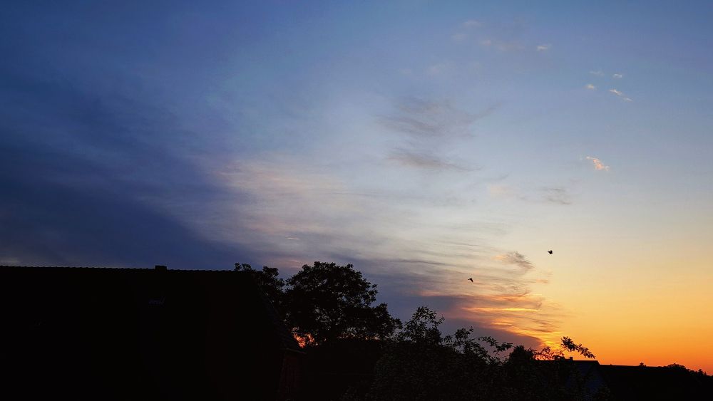 Blauer Abendhimmel mit ein paar graublauen Wolken. Die untergehende Sonne färbt den Horizont orangerot. Zwei Vögel fliegen vorbei. Silhouetten von Hausdächern und Bäumen am unteren Bildrand.
