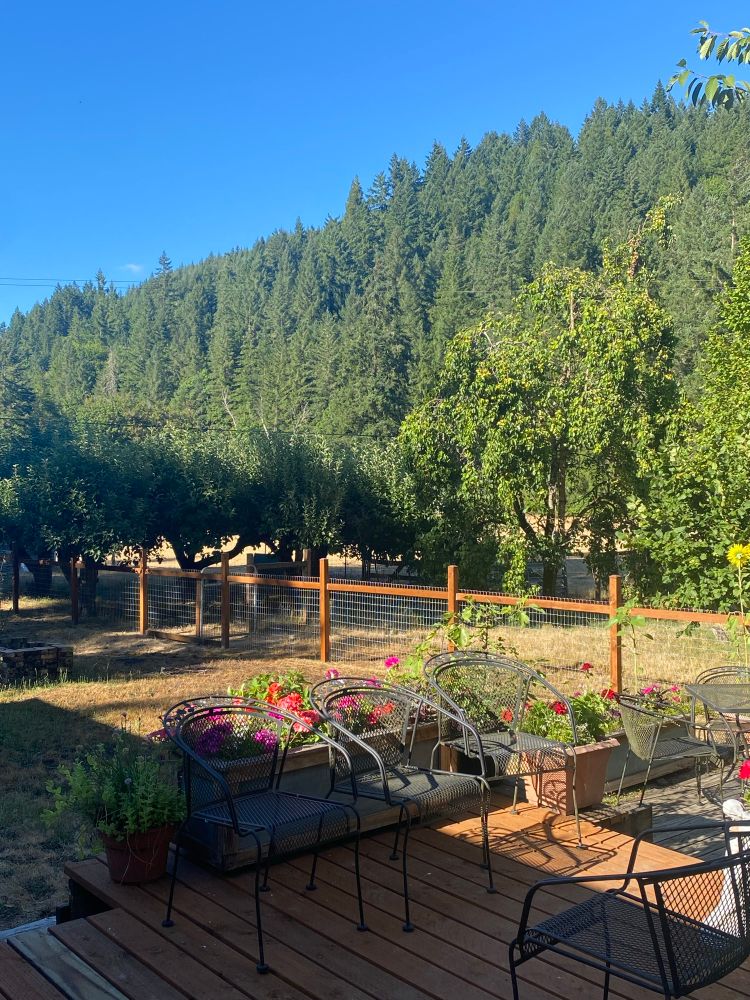 Fir trees, the fruit orchard, and the chicken yard from the deck on the farm where I grew up in Oregon 