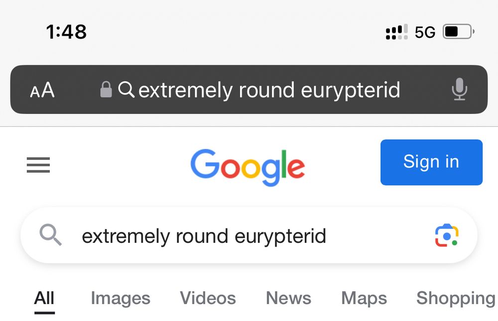 A google search for “extremely round eurypterid”, aka carcinosomatids