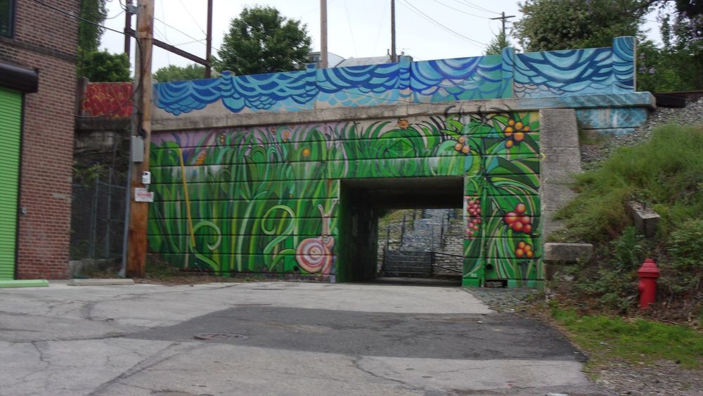 Fountain Street steps. Painted Regional Rail overpass with lot in foreground, u-store-it on left and embankment on right.