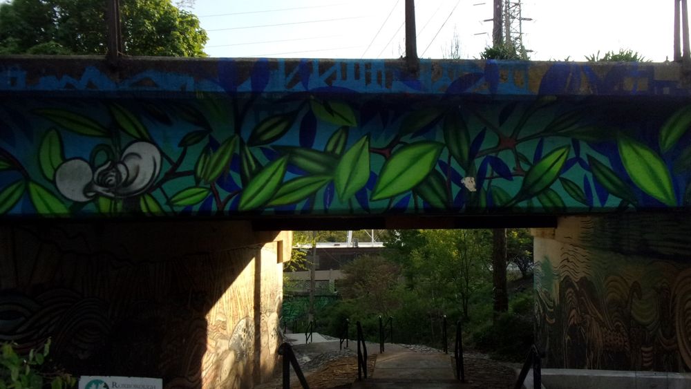Fountain Street steps. Painted overpass.
