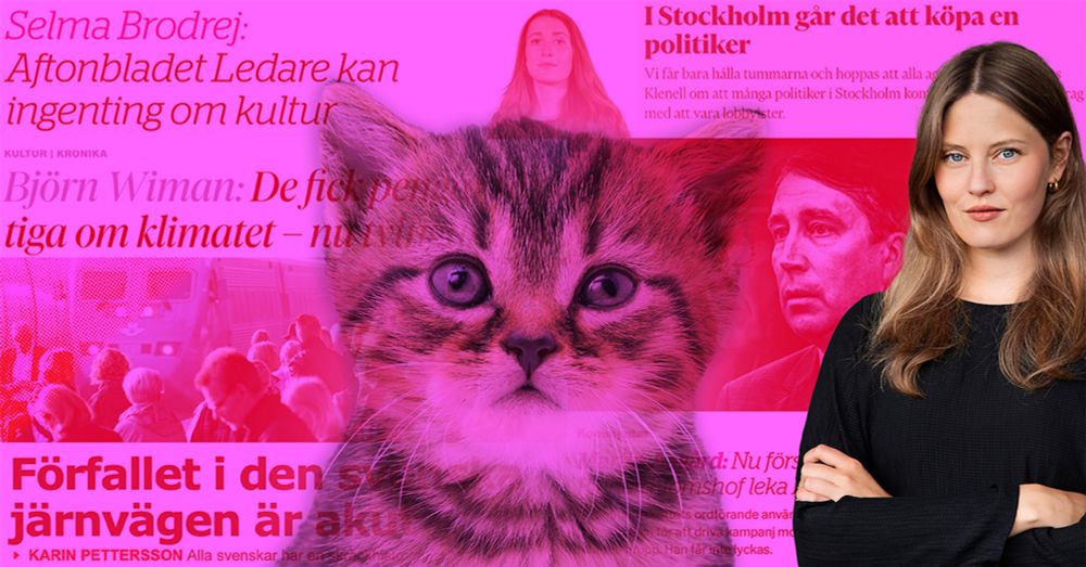 Rädda en kattunge – bli inte kulturskribent