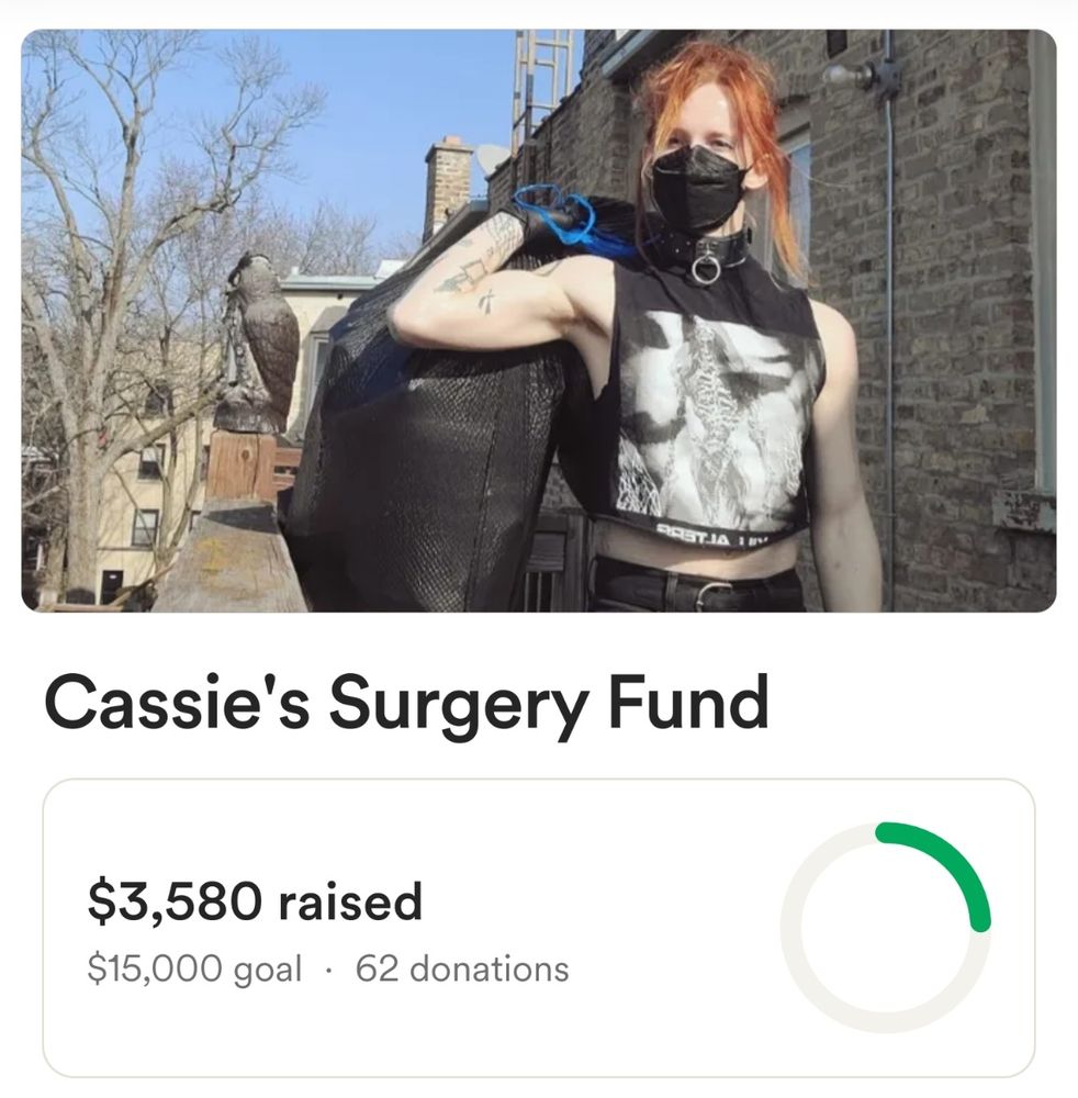 Screenshot of GoFundMe titled Cassie's Surgery Fund with a goal of $15,000, and $3,580 raised with 62 donations.