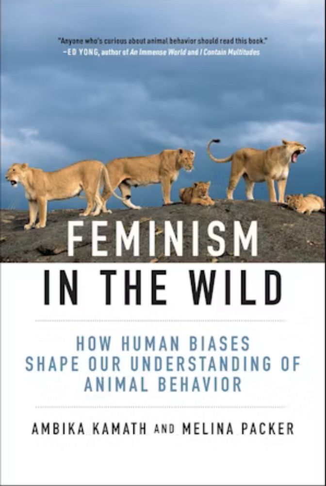 Cover of book FEMINISM IN THE WILD