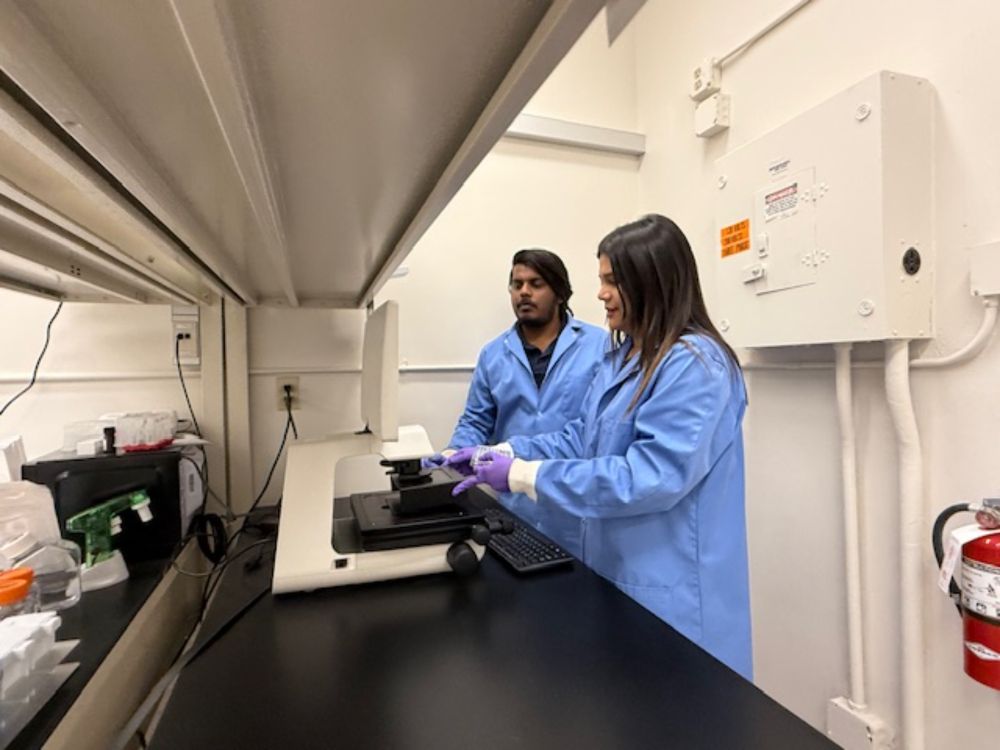 A research team at the University of Nevada, Las Vegas claims its latest discovery could eventually lead to curing pancreatic cancer and diabetes.