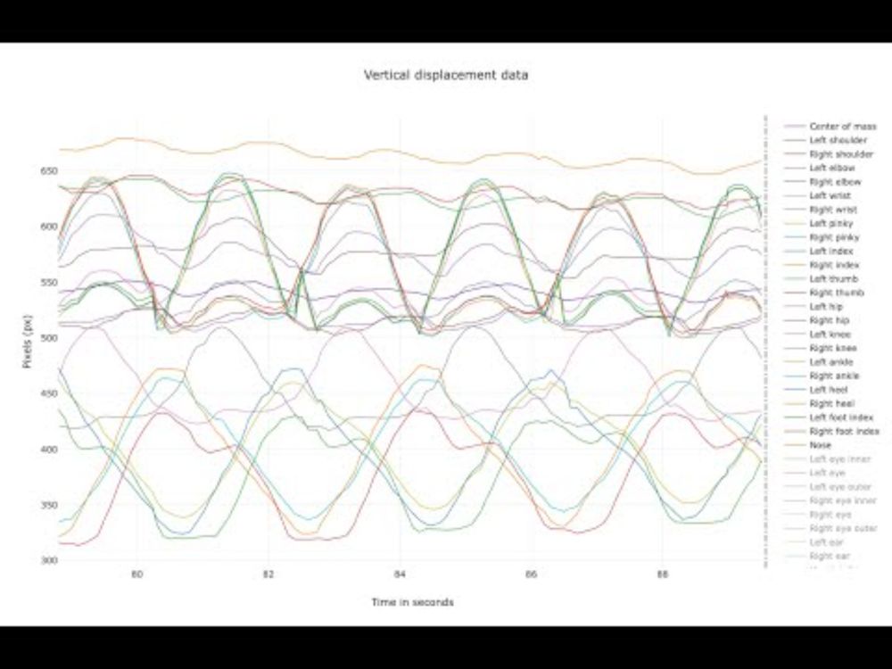 Running Stride and Phases Explained with Factorial Biomechanics Graphs