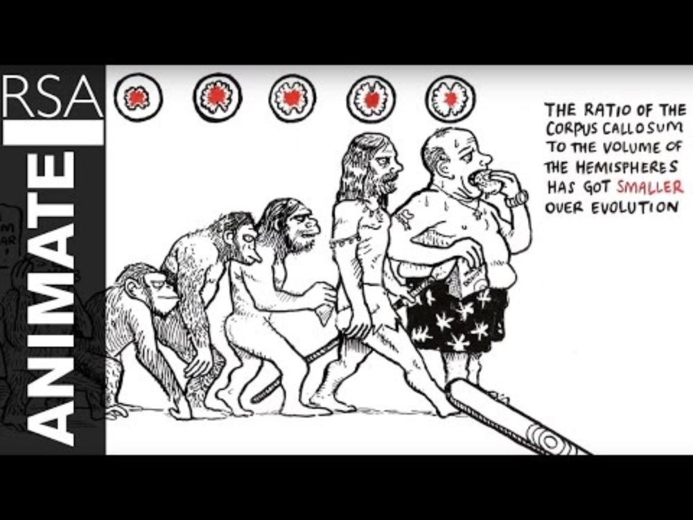 RSA ANIMATE: The Divided Brain