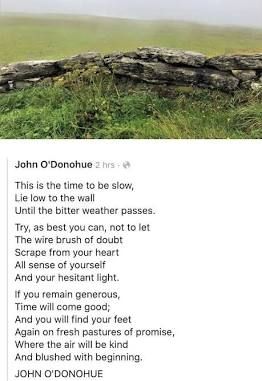John O'Donohue
This is the time to be slow