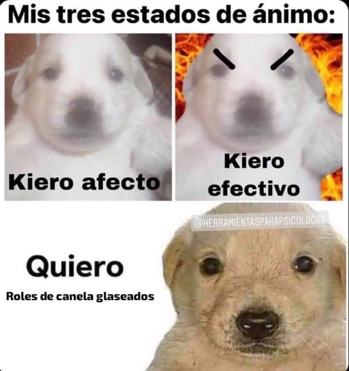 Un meme con tres perritos. 
El título dice: mis tres estados de ánimo. 
Un perrito con cara chipil dice: kiero afecto.
Un perrito enojado con fondo de llamas dice: kiero efectivo. 
Un perrito tierno dice: quiero roles de canela glaseados.