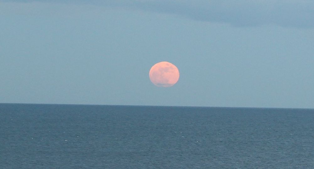 The Moon at full rising above the sea with a light blue sky background. 