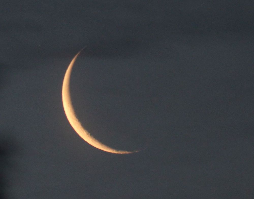 The thin Moon at waning crescent phase. 