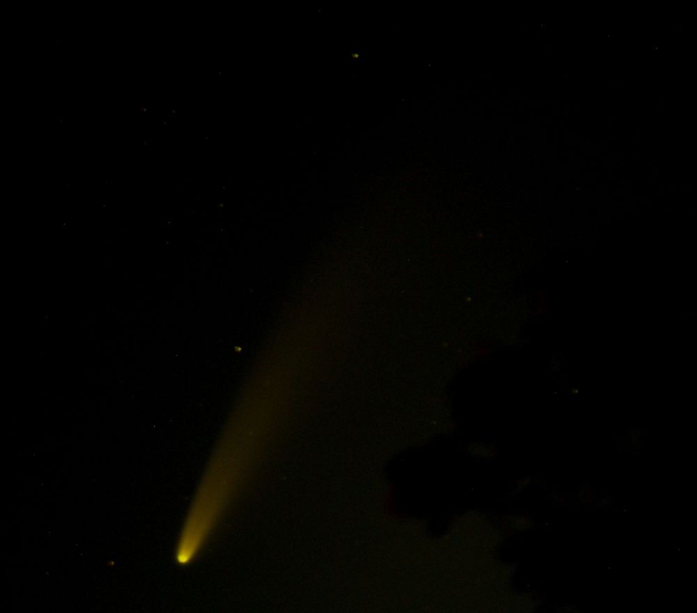 Comet NEOWISE looking yellow on a dark background. 
