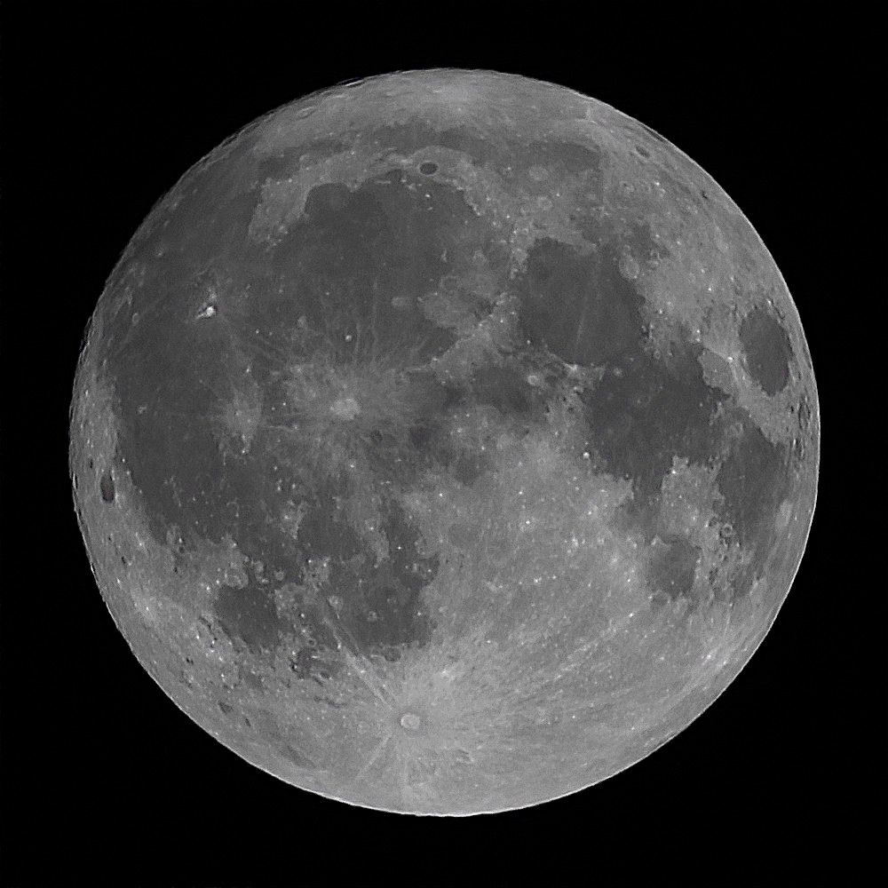 The Moon at full on a dark background. 