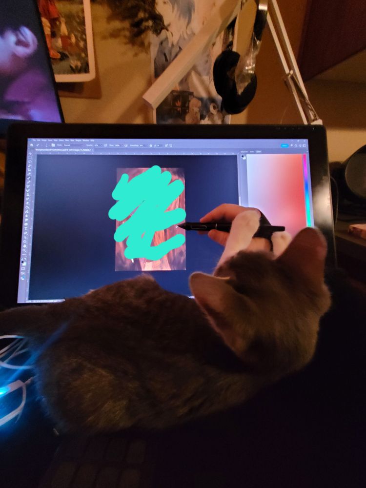 A pic of me trying to draw on my tablet but Six is grabbing the pen