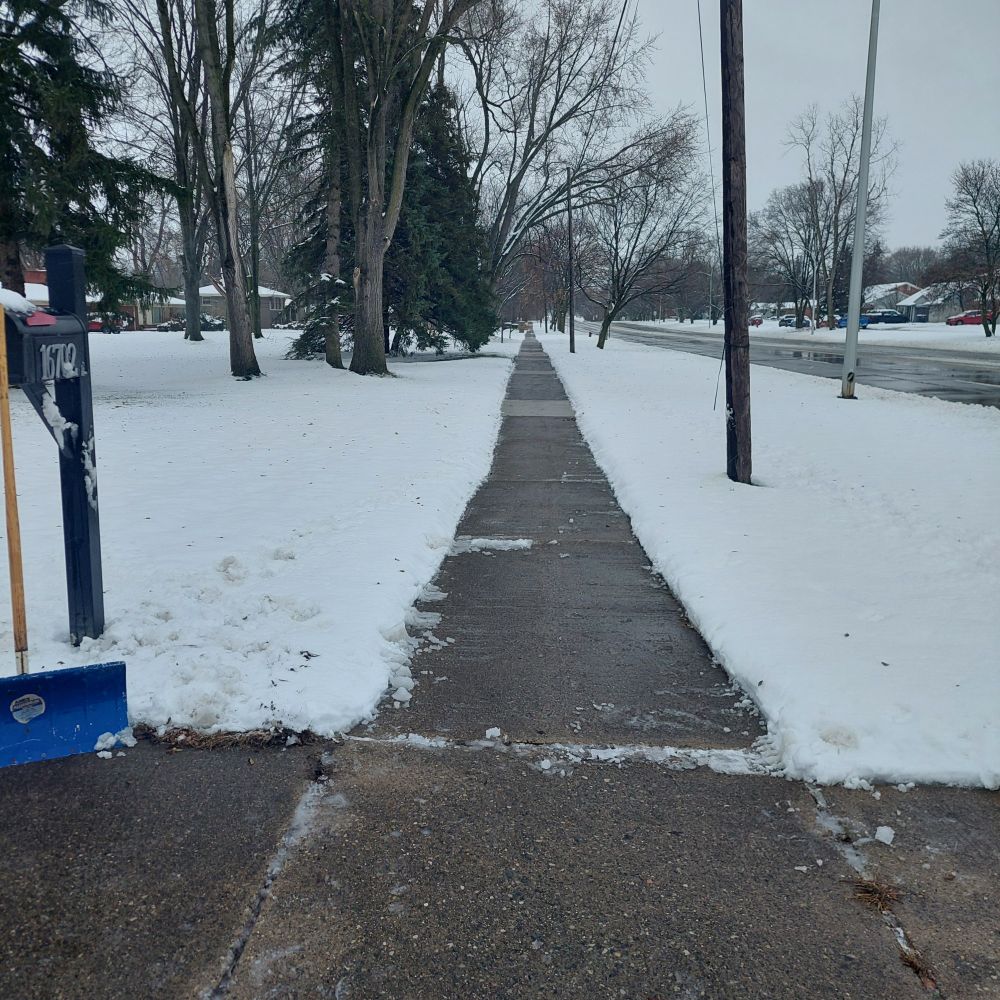 I do the sidewalk for the whole block so I can walk Brandy without her boots.
