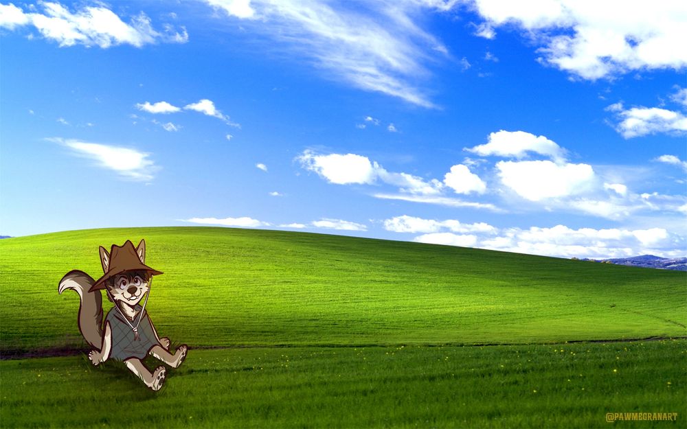 Windows XP wallpaper with an illustration of a coyote fursona in a poncho and cowboy hat sitting in the grass. 