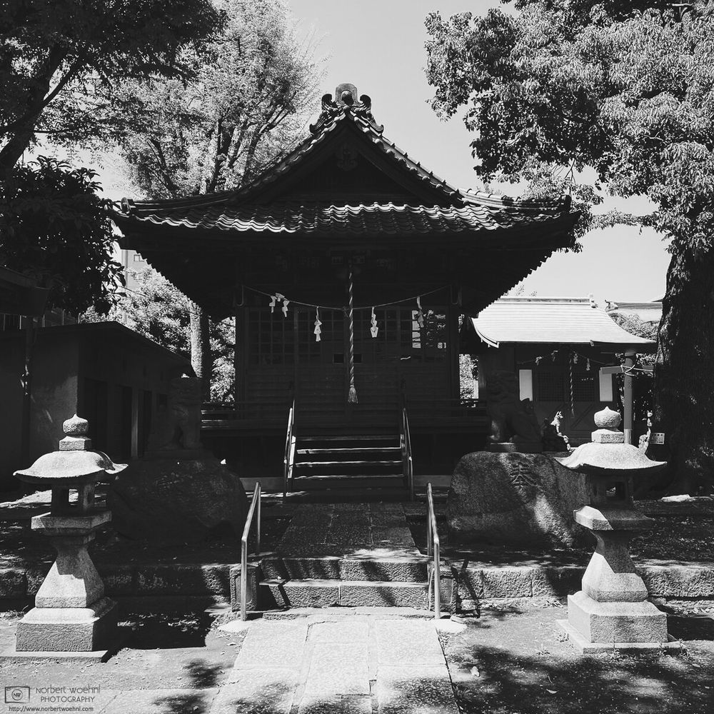 High-contrast monochrome photograph of Hasunuma Hikawa Shrine in the Hasunuma-cho neighborhood of Itabashi Ward in Tokyo, Japan.