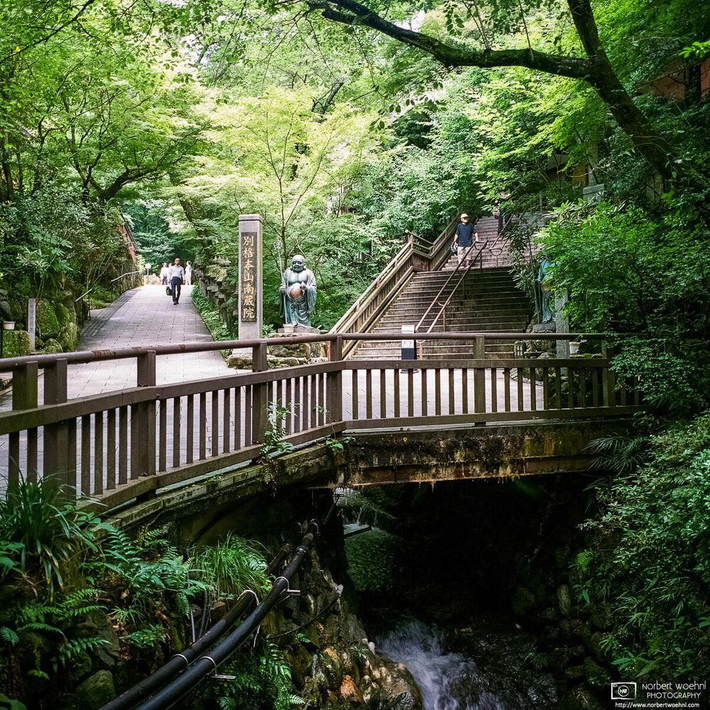 Visitors enter Nanzo-in Temple through a nice forested area with a river. Smaller Buddha statues decorate the bottom of the stairs that lead up to one of the main buildings on the premises.