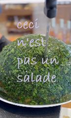 a sallad from the Maison Vérot in Paris, illustrated with the text ceci n'est pas un salade (after Magritte)