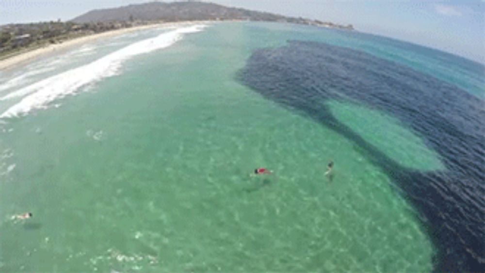 an aerial view of a beach and a body of water