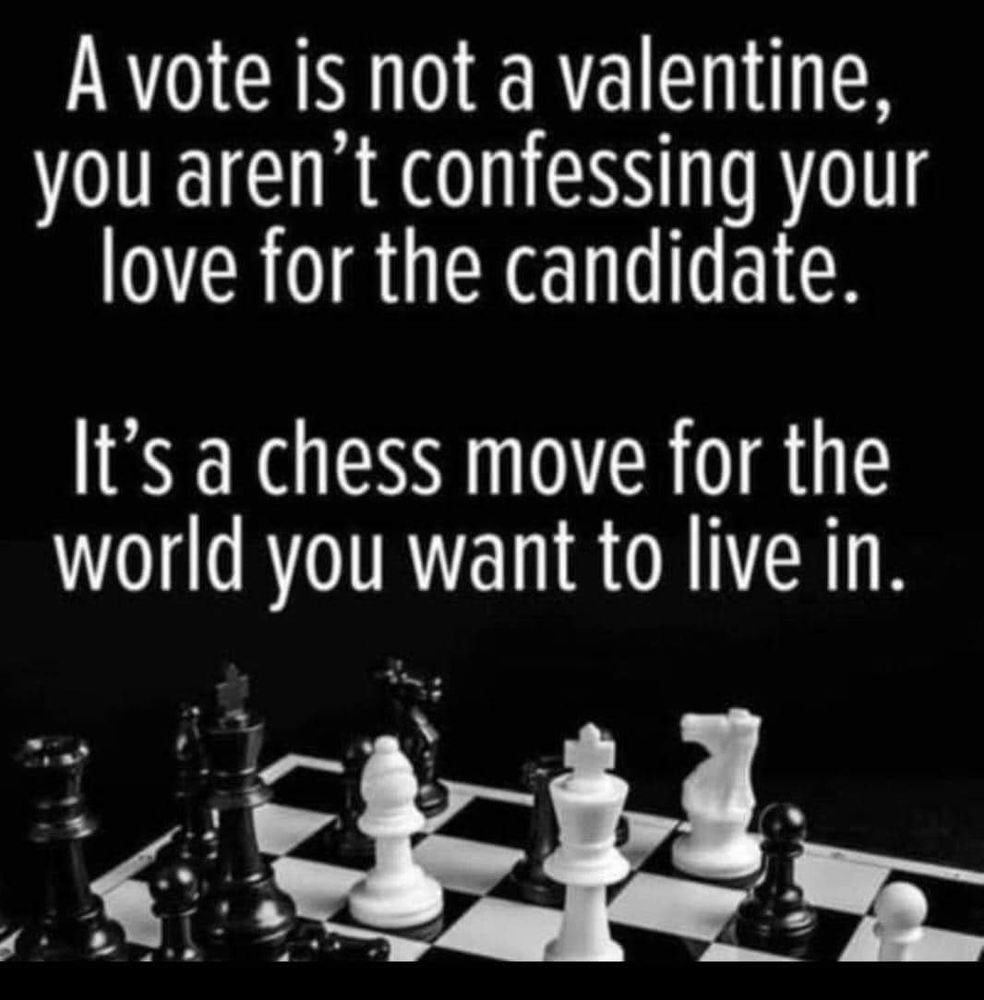 black background above a chessboard in play. A vote is not a valentine, you aren't confessing your love for the candidate. It's a chess move for the world you want to live in.