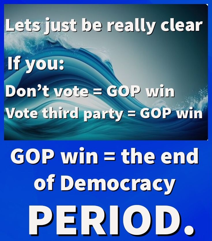 against a background of a blue wave. Lets just be really clear If you: Don't vote = GOP win Vote third party = GOP win GOP win = the end of Democracy PERIOD.