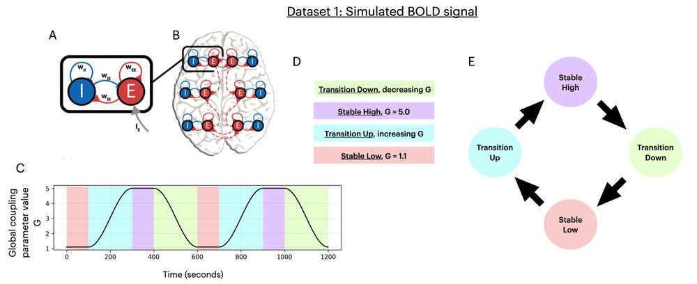 Figure that describes how we generated the two-state temporal pattern and the BOLD signal associated with it. There is a parameter G that goes from low to high states with a smooth transition in between. The pattern repeats once, creating a circular temporal representation.