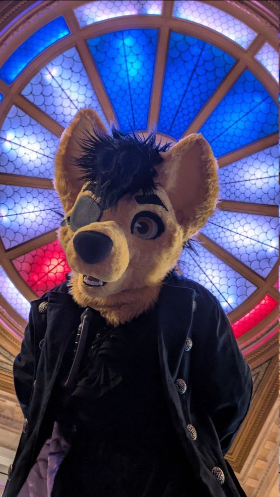 Caine Fursuit Photo, A yellow coyote with an eye patch over the right eye. Wearing a navy pirates coat over a black cotton shirt and pants.

Leaning down facing the viewer above is a centered shot of a stained glass ceiling.