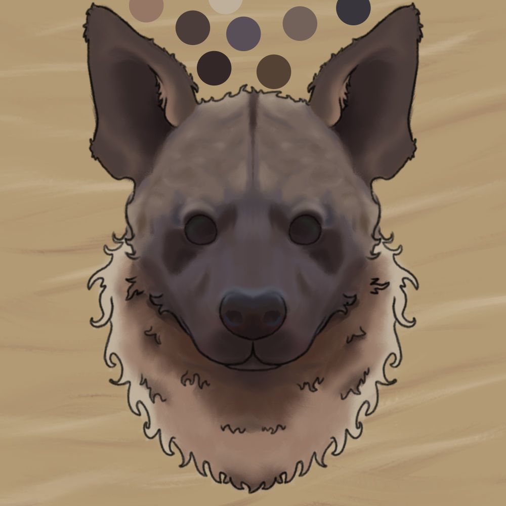 A long-haired hyena work in progress portrait and the color pallet of browns and greys above with a tan background