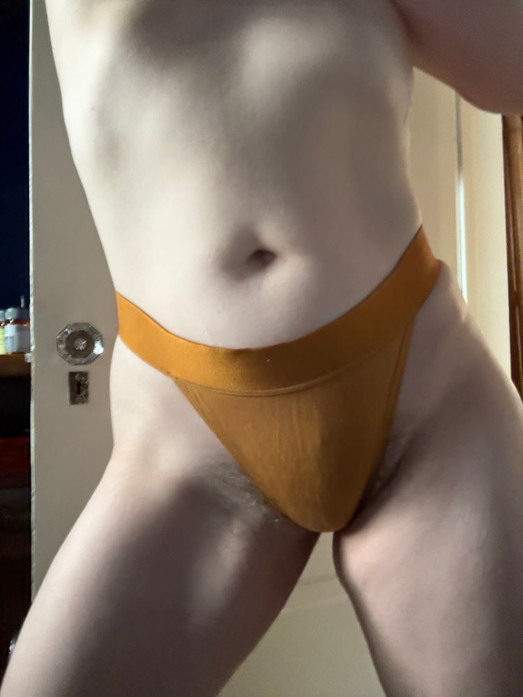 A pale female torso wearing high cut gold panties. A lot of her bush is hanging out.
