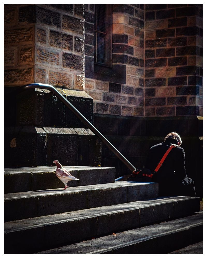 Man sitzt mit dem Rücken zu uns auf Stufen vor einer Kirche..Auf dem Stufen ist noch eine Taube und beide drehen sich den Rücken zu