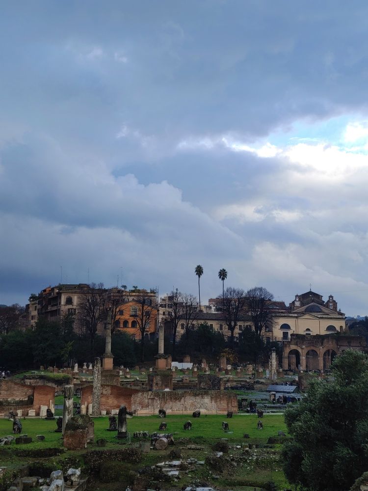 어두운 구름 사이로 밝은 빛이 조금 비쳐보이는 흐린 하늘과 키 큰 나무와 색색의 주택들이 초록색 풀밭에 자리한 로마시대 유적들 너머에 서있는 사진