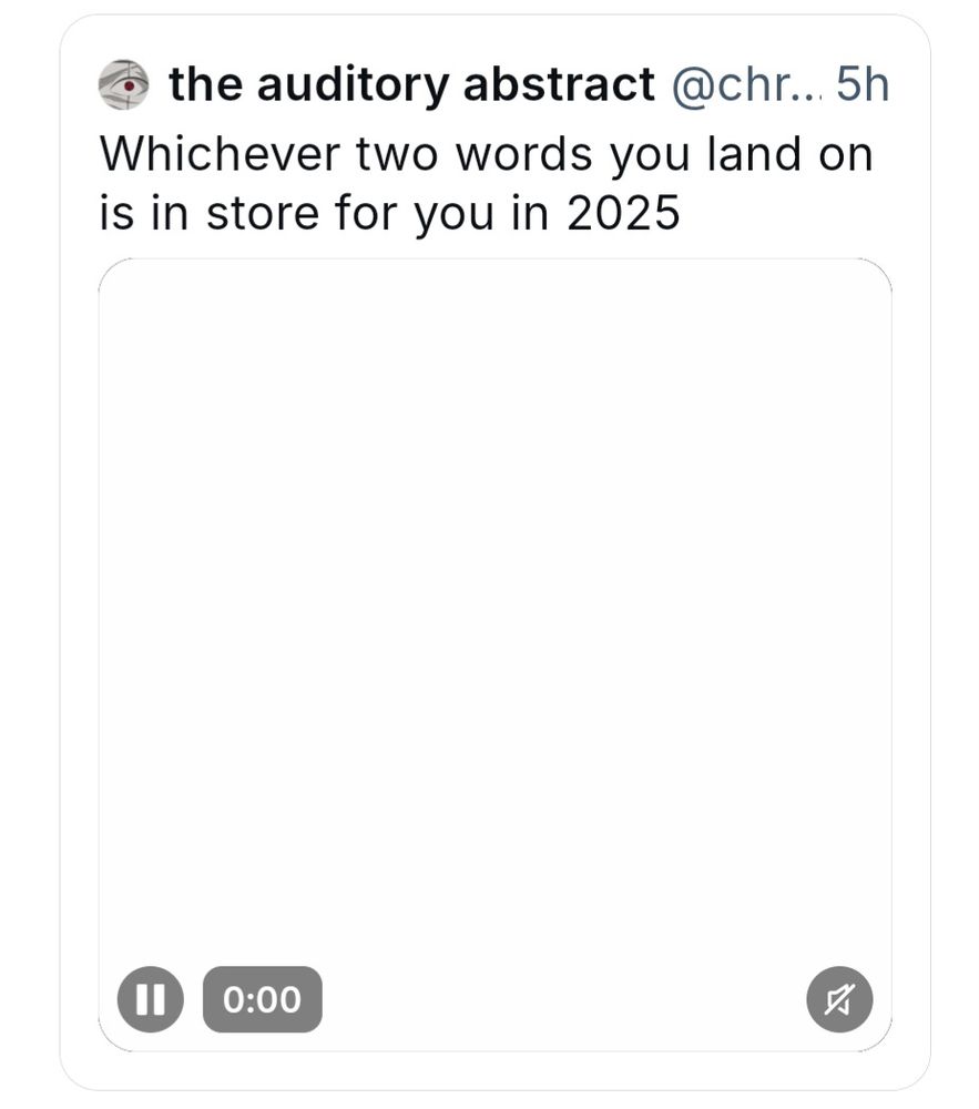 Quote of original post from the auditory abstract: "whichever two words you land on is in store for you in 2025" First image landed on a blank screen???