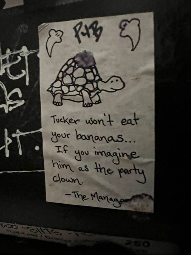 Drawing of a turtle with "Tucker won't eat your bananas, if you imagine him as the party clown." I don't know why, or what it means, and I'm sorry. Life is meaningless and we should give up.