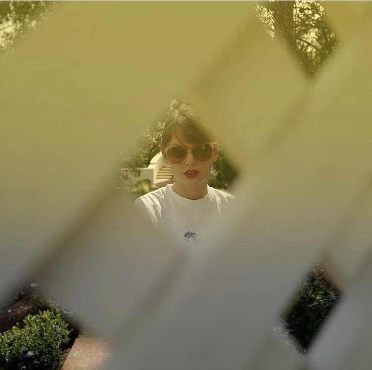 taylor swift behind a fence with 5 holes