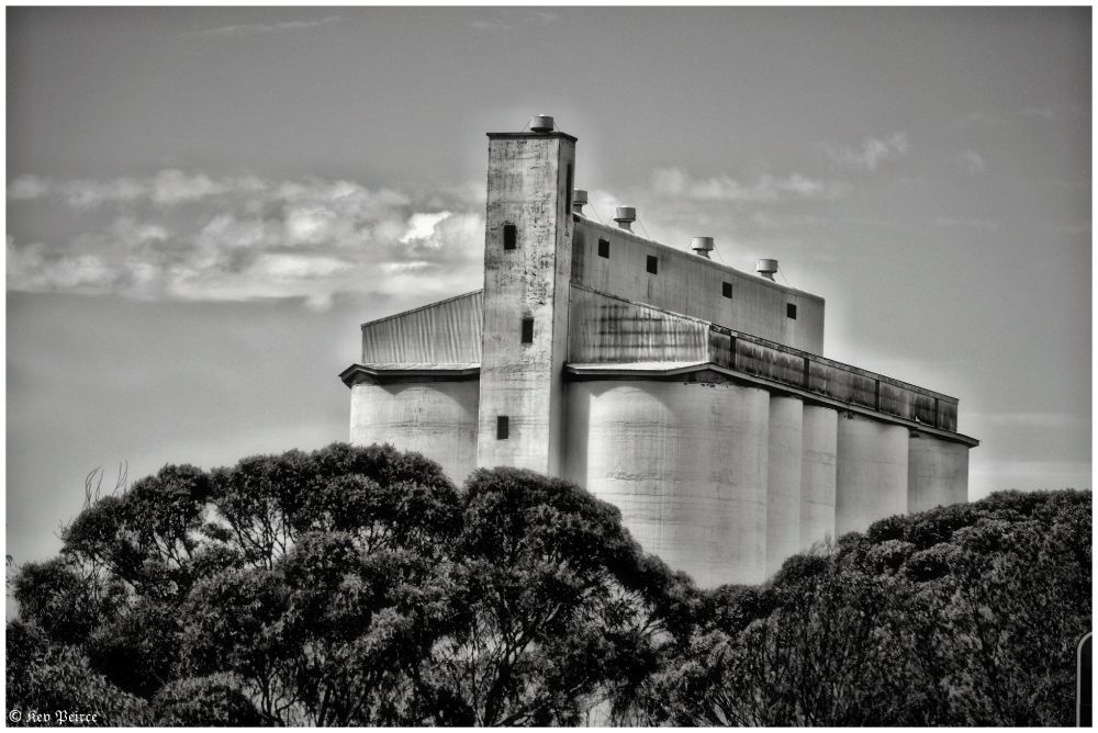 Black-and-white photo of a large, weathered grain silo complex with multiple cylindrical concrete units and a rectangular structure on top. 

The building shows visible stains and age, framed by trees in the foreground and a partly cloudy sky above. The monochrome palette adds a dramatic, timeless feel to the industrial scene.